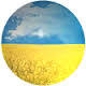 Profile picture for user wioletta0000