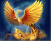 Profile picture for user Nomade