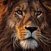 Profile picture for user PeterH