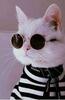 Profile picture for user Irinka2022