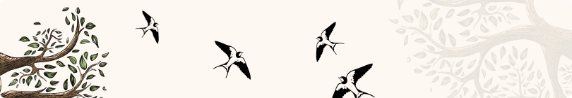 User account background banner